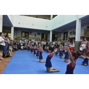 Expo Proyectos y Emprendimientos Empresariales 2017